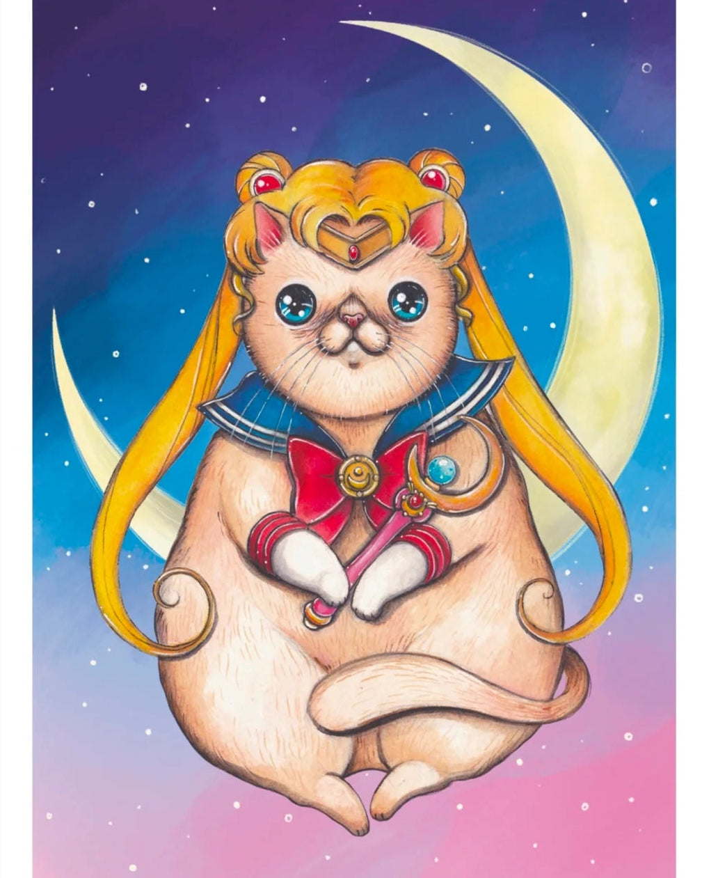 STAMPA SAILOR MOON