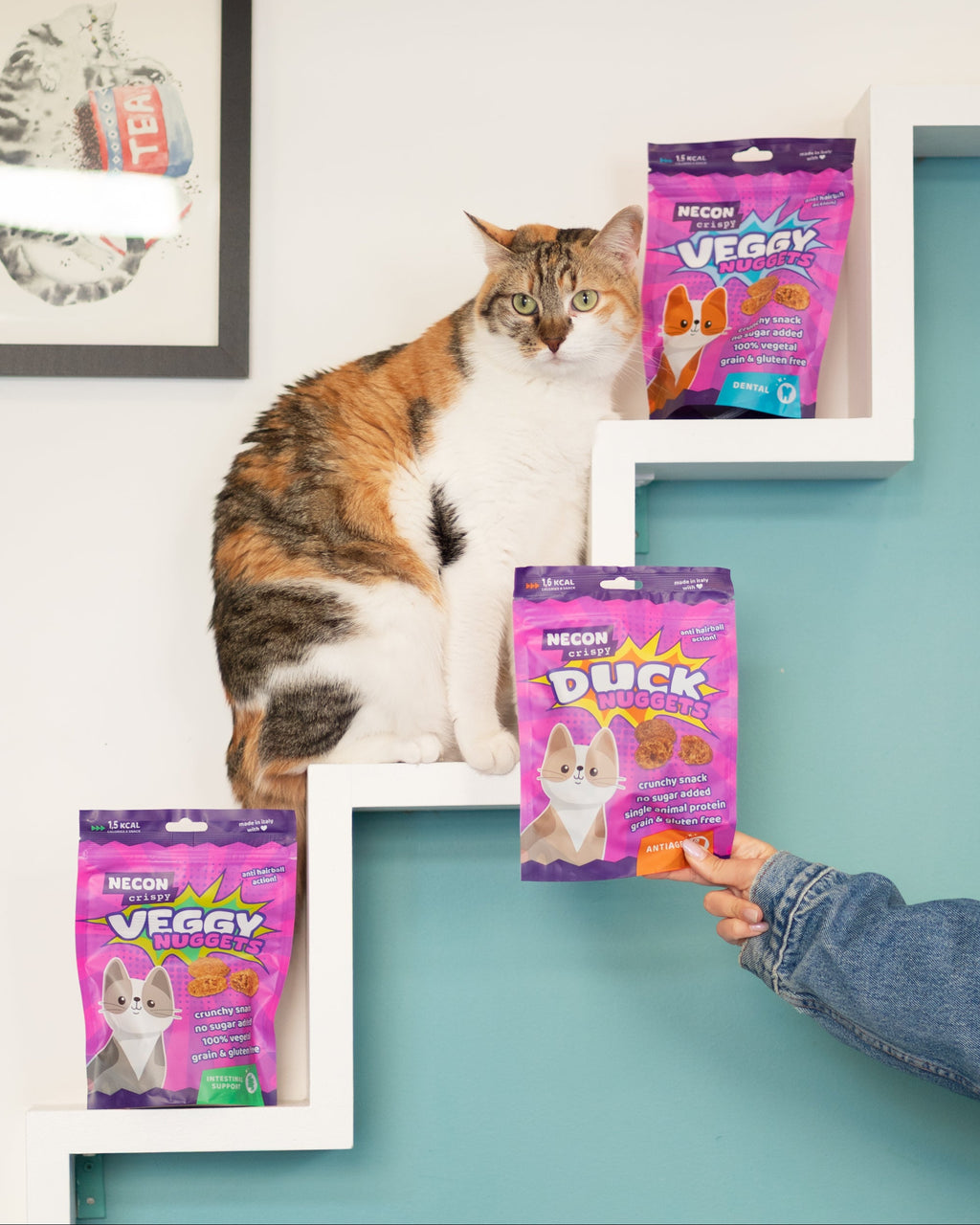 Snack Croccanti Necon Pet Food