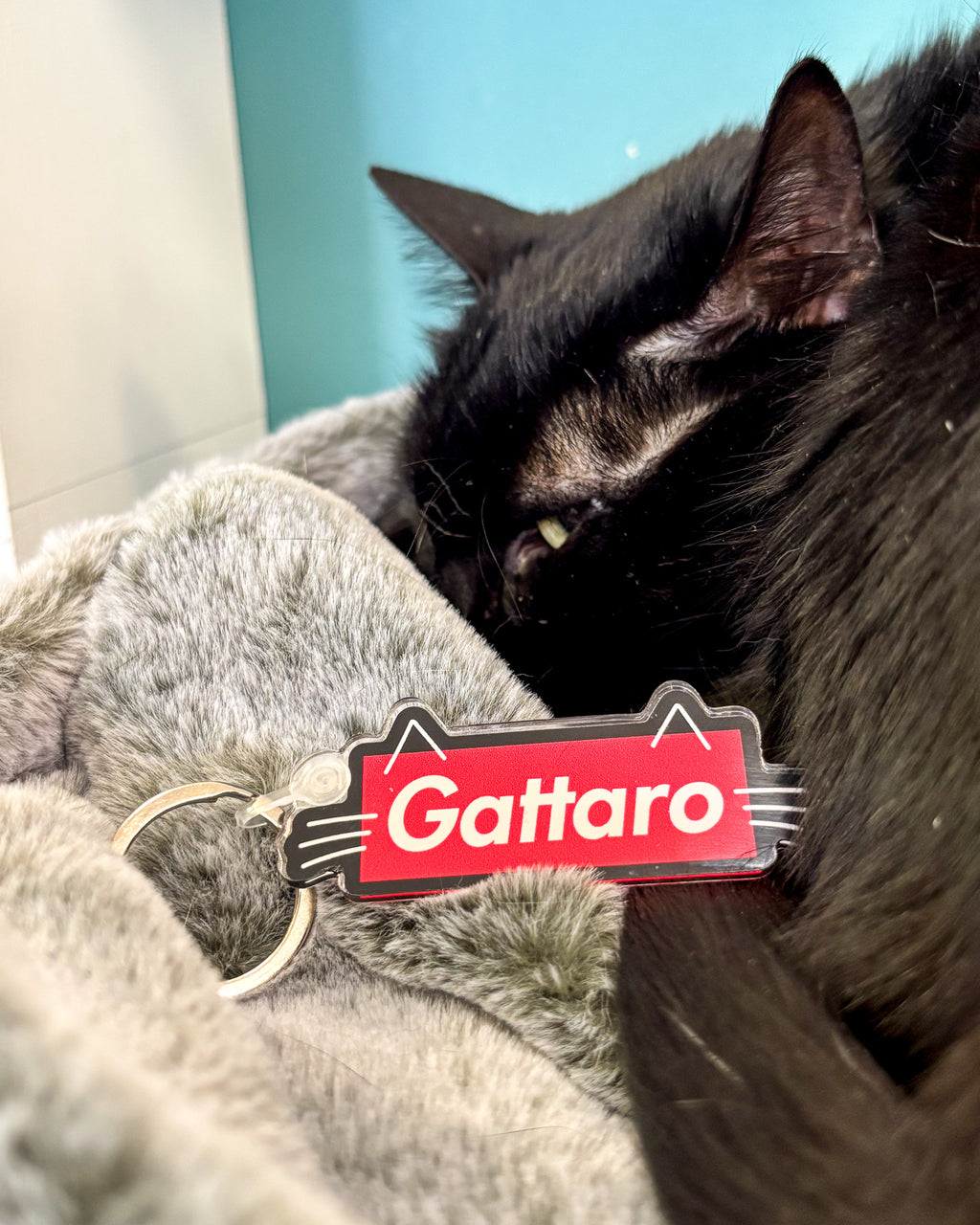 Portachiavi Gattara/o