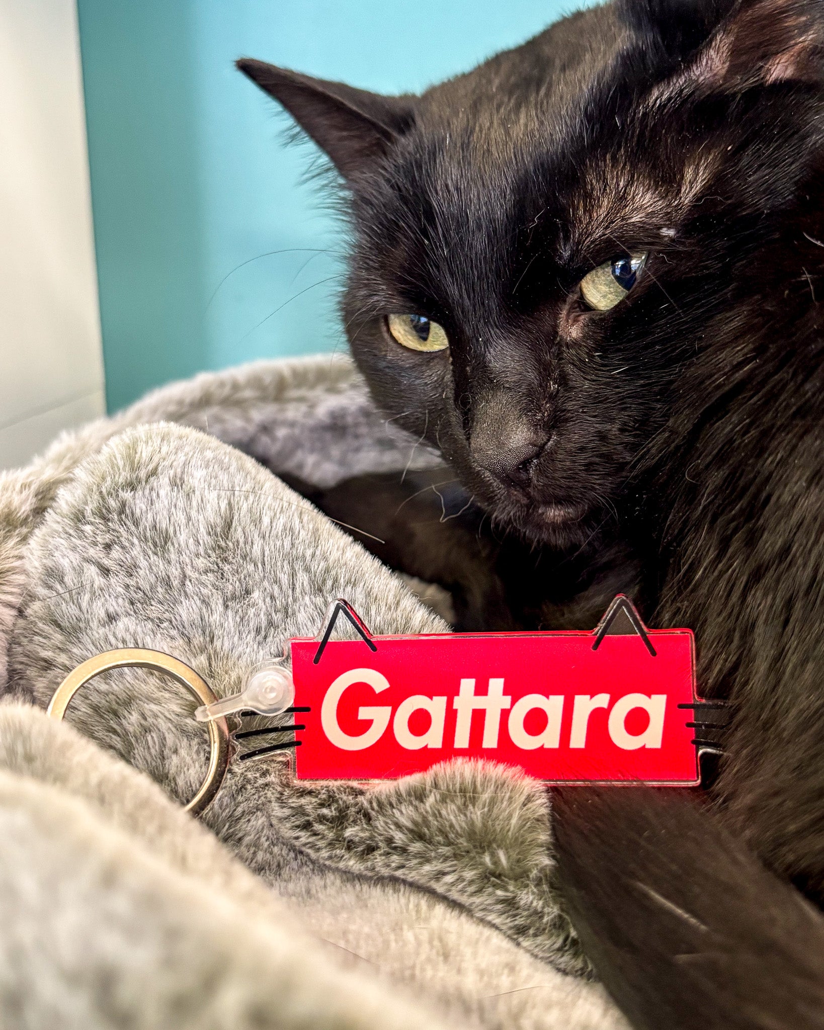 Portachiavi Gattara/o