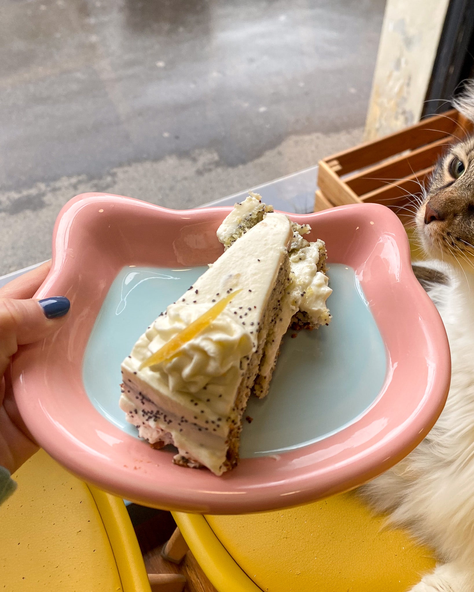 Piattini a Forma di Gatto