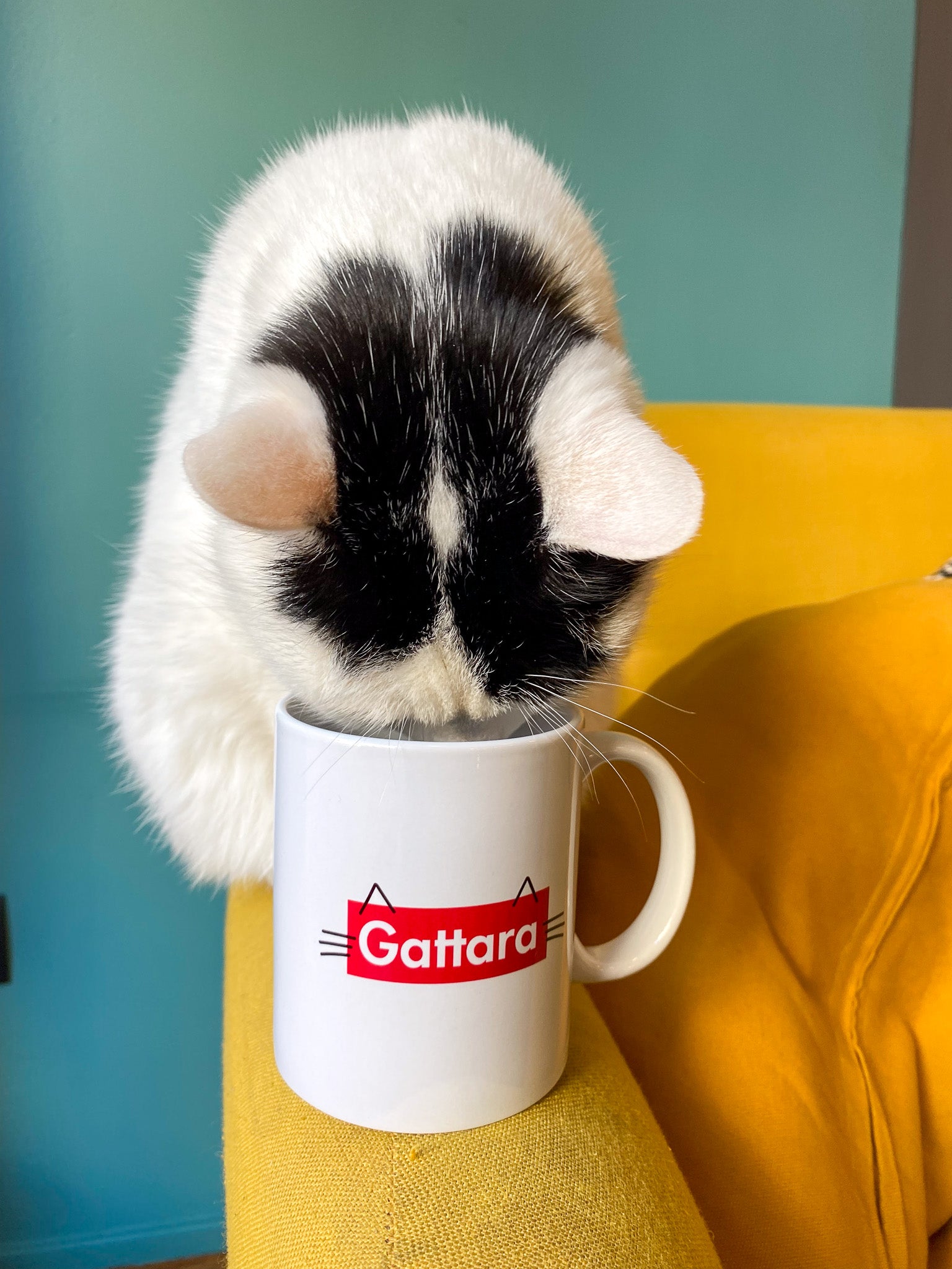 MUG Gattara