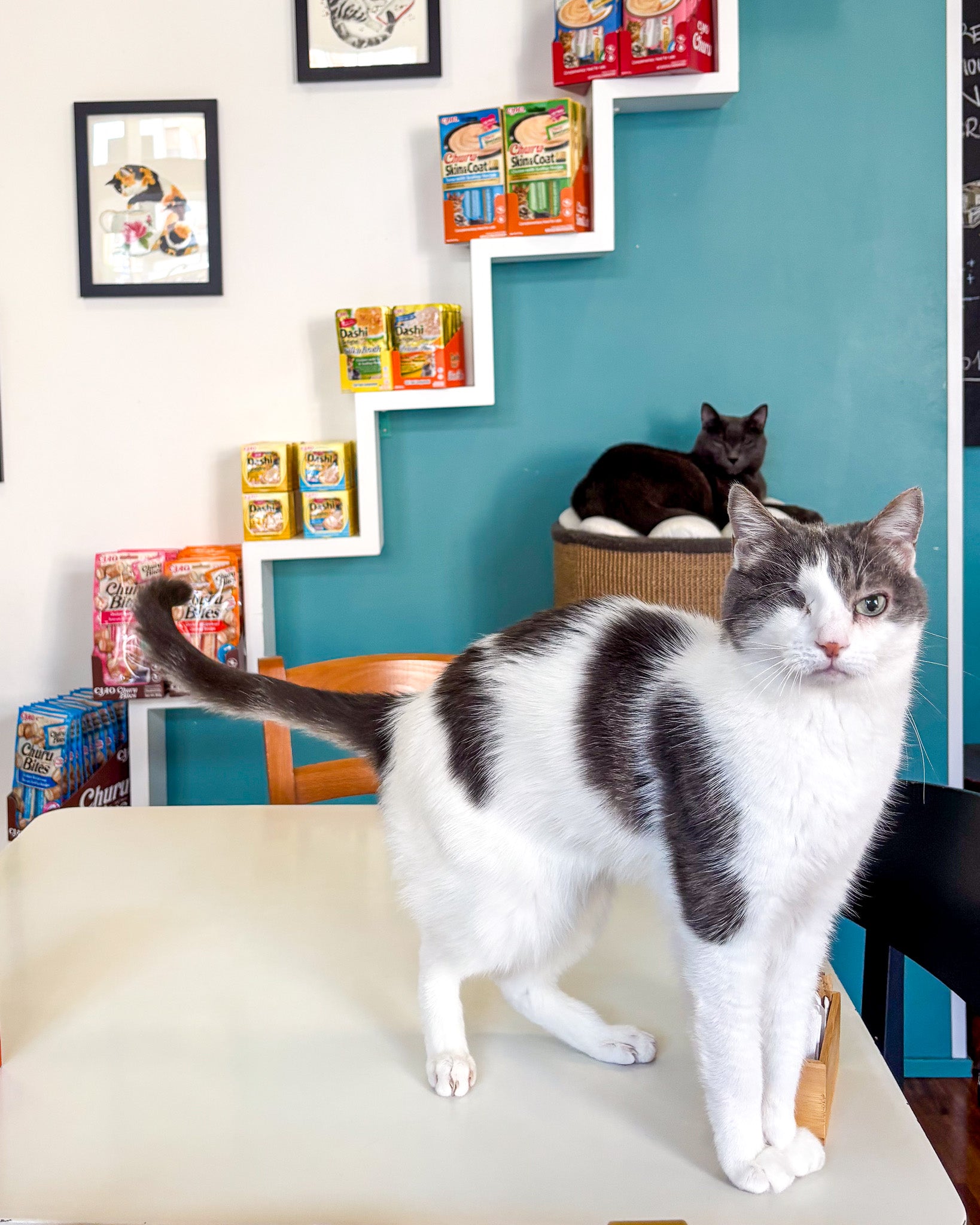 Churu - Snack cremosi per gatti