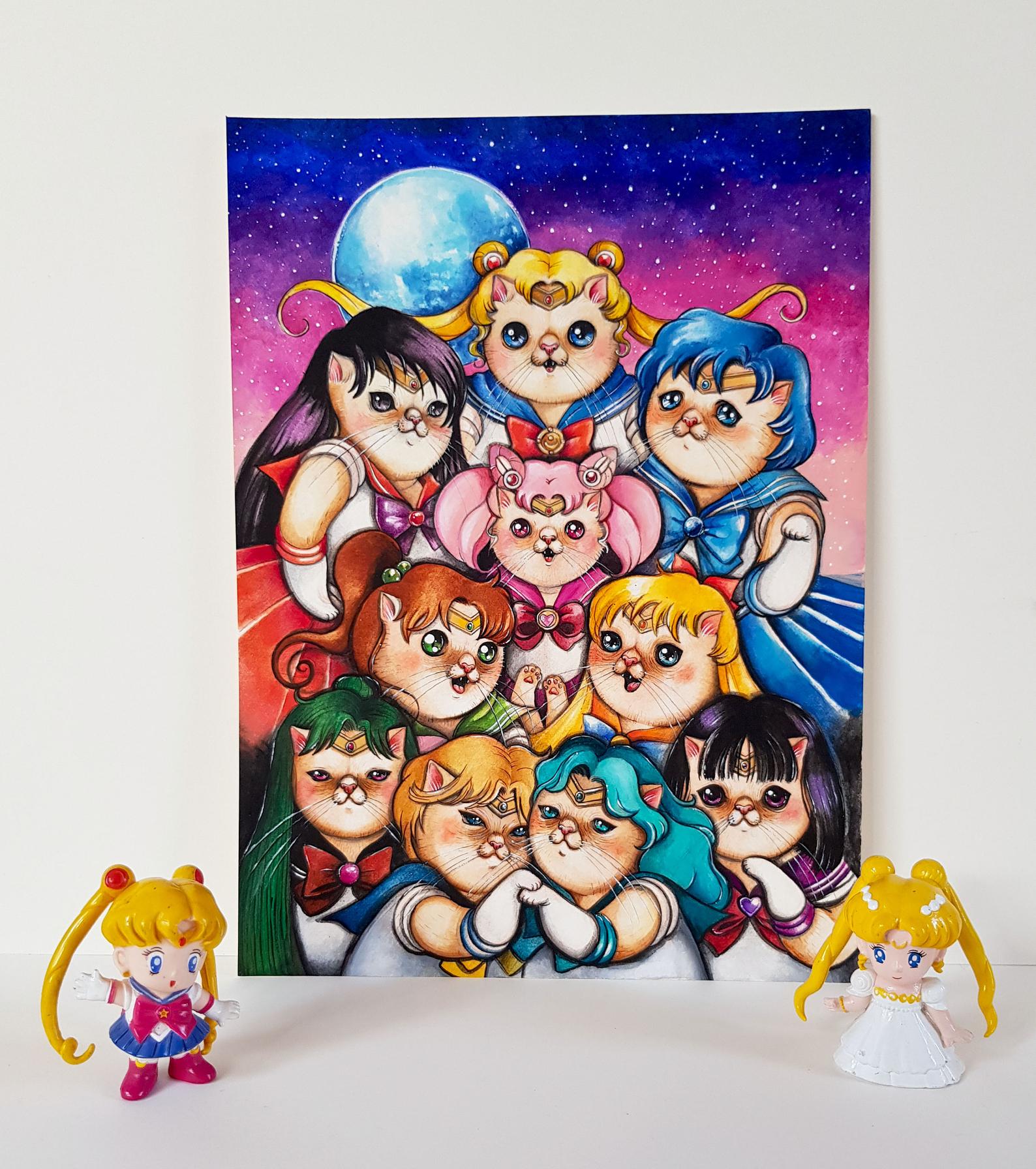 STAMPA SAILOR GUERRIERE