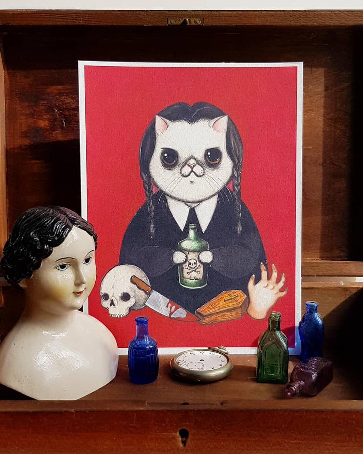 STAMPA MERCOLEDI ADDAMS