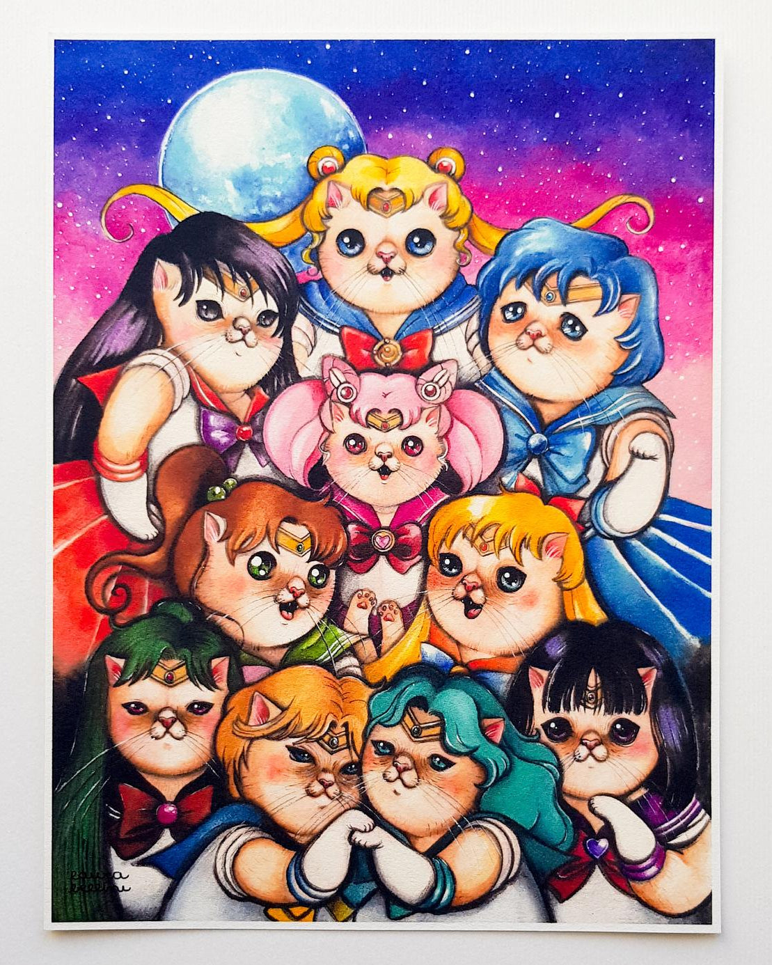 STAMPA SAILOR GUERRIERE