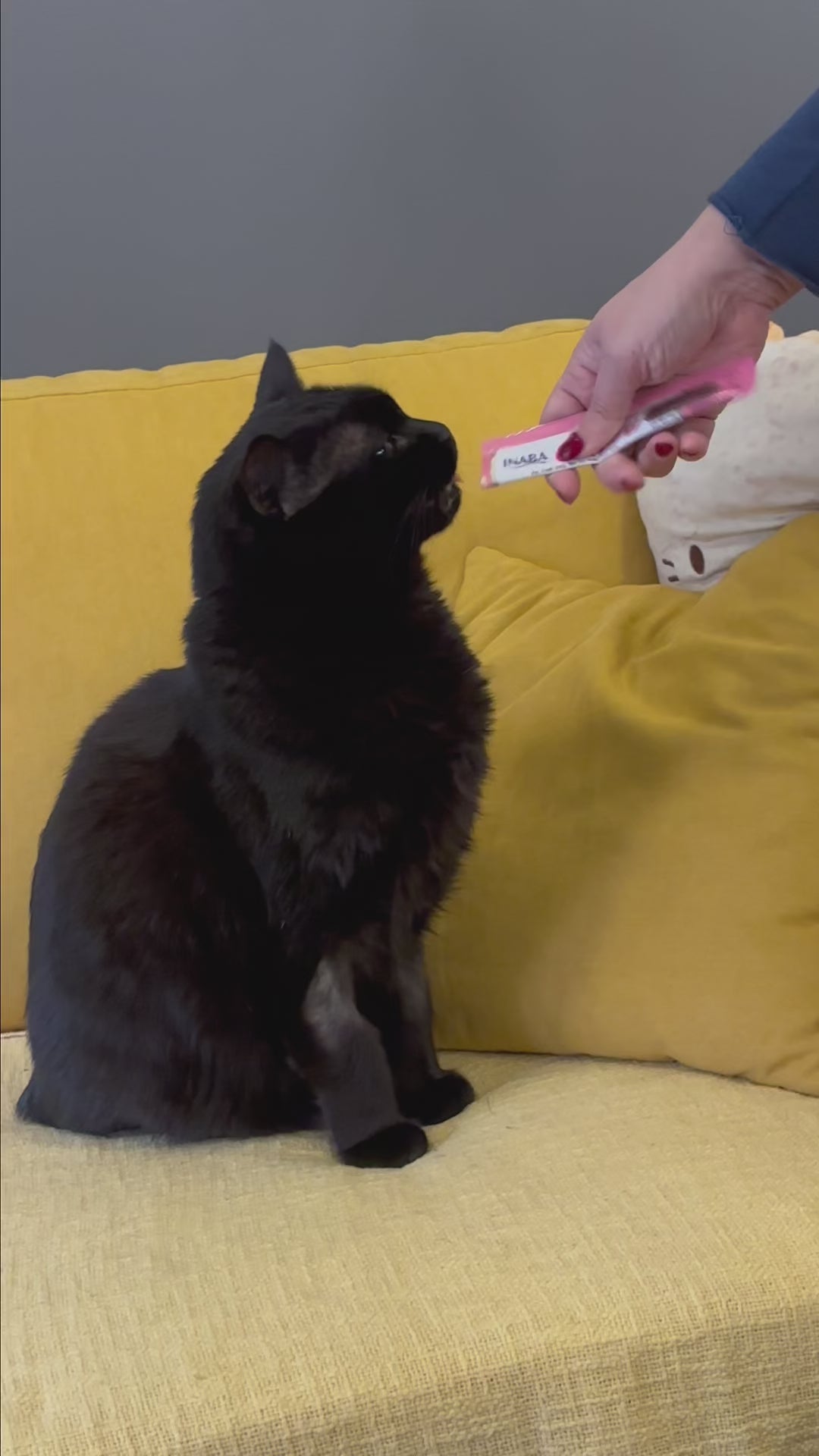 Churu - Snack cremosi per gatti